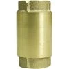 Parts2o Lead-free Brass Check Valve, TC2505LF-P2, 1-1/4 IN -Home Improvement Sales Store sftp a s assets20200422000000541