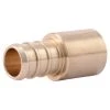 SharkBite Pex Swt Adapter 1/2 IN X 1/2 IN, UC607LFA -Home Improvement Sales Store sftp a s assets20200501000000075