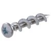 Walldog Chrome Plated Pan Head Phillips Screw & Anchor IN One, 42005, 3/16 IN x 1-1/4 IN -Home Improvement Sales Store sftp a s assets20201209000000457