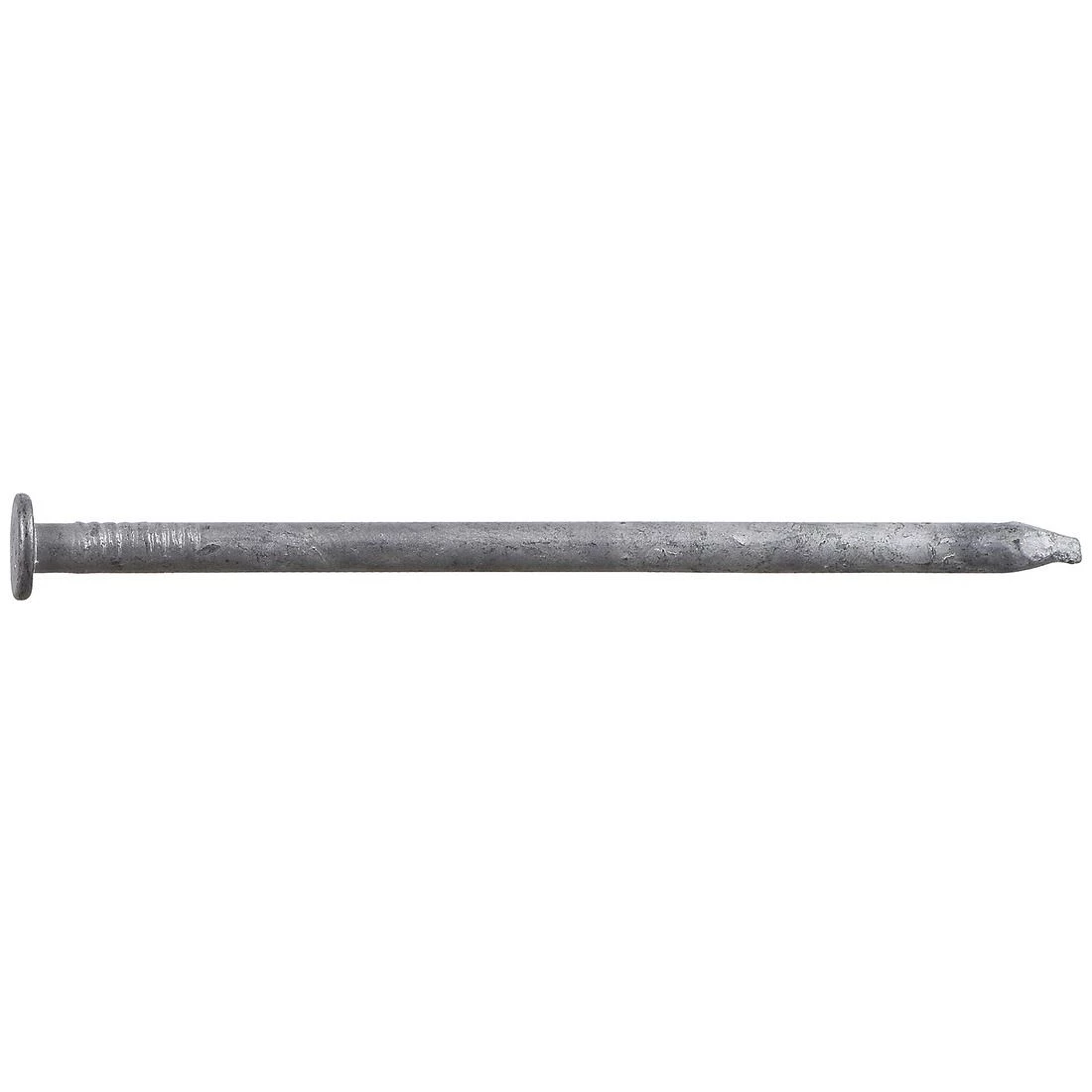 Fas-N-Tite 12D 30 LB Bucket Hot-Dipped Galvanized Common Nails, 461290, 3-1/4 IN 4 Fas-N-Tite 12D 30 LB Bucket Hot-Dipped Galvanized Common Nails, 461290, 3-1/4 IN - Image 2