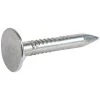 Fas-N-Tite 11 Gauge 1 LB Box Electro-Galvanized Roofing Nails, 461453, 7/8 IN -Home Improvement Sales Store sftp a s assets20201209000001045