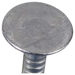 Fas-N-Tite 11 Gauge 50 LB Bucket Electro-Galvanized Roofing Nails, 461628, 2-1/2 IN -Home Improvement Sales Store sftp a s assets20201209000001194