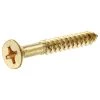 Hillman Brass Flat Head Phillips Wood Screws, 2-Pack, 7300, #12 x 1-1/2 IN -Home Improvement Sales Store sftp a s assets20201209000001981