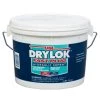 Drylok Fast Plug Hydraulic Cement, #00917, 4 LB -Home Improvement Sales Store sftp a s assets20210518000000001