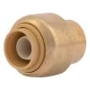 SharkBite Push-to-Connect Brass End Stop Fitting, 3/8 IN, U512LFA -Home Improvement Sales Store sftp a s assets20220325000000066