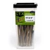 Big Timber Bronze T-40 Lag Screw, 25-Count Bucket, CTX175-25, #17 x 5 IN -Home Improvement Sales Store sftp a s assets20220729000000013